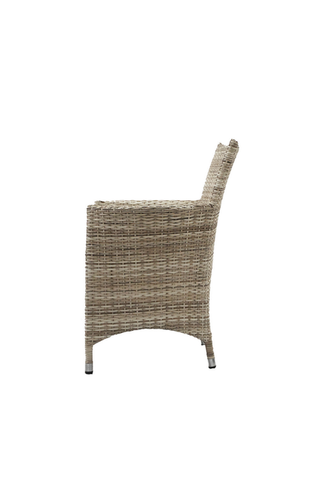 Classic Mesh Chair