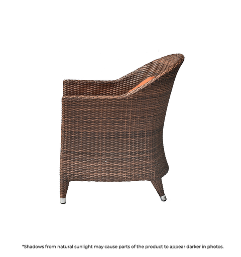 Seahorse Chair