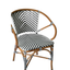 Zebra Zen Chair