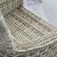 Classic Mesh Chair